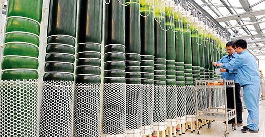 Technicians conducting routine tests on the microalgae in the growth phase at the Shijiazhuang Refining Microalgae Breeding Demonstration Base, the first to use carbon dioxide of refinery as the carbon source in China. The amount of carbon dioxide absorbed by organisms is 10-50 times that by forest. The microalgae can be used as fundamental raw materials for biodiesel, thus are recyclable