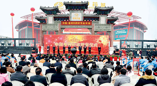 The Bozhou Traditional Chinese Medicine Materials Market opening ceremony on March 8, 2015