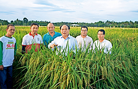 June 12, 2019: Zhang Shaodong (third right) and fellow agriculturists instruct local farmers on cultivating Chinese-bred tropical hybrid rice at a paddy base on Luzon Island. In recent years, Zhang and his team have worked to introduce Chinese hybrid rice technology to the Philippines and other Southeast Asian countries.