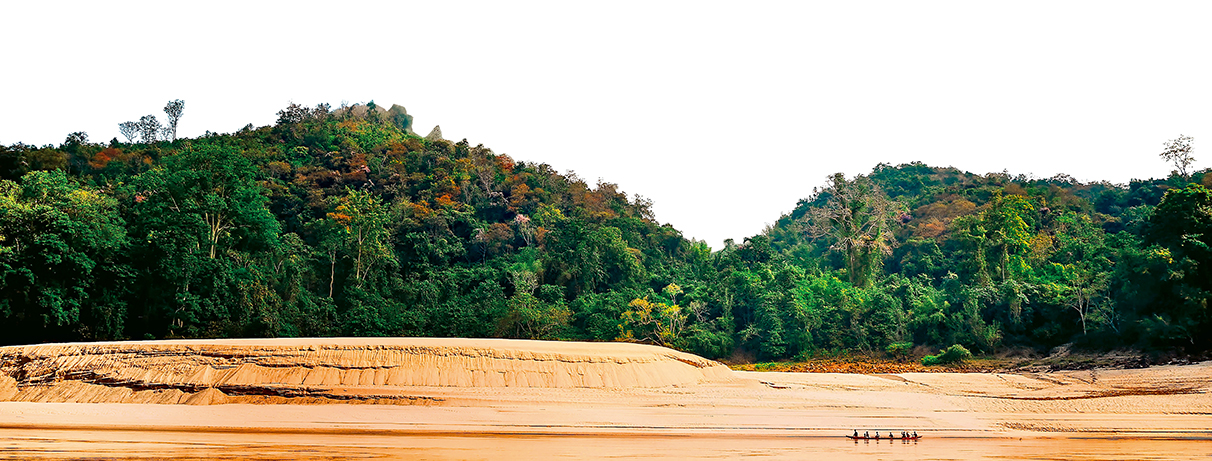 Forest landscape on the banks of the Mekong River. (SIMON MATZINGER)