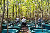 Scientists remove weeds from nursery pots holding Davidia involucrate in the nursery base of the Endangered Plants Institute of the China Three Gorges Corporation, on August 6, 2020. (XIANG HONGMEI)