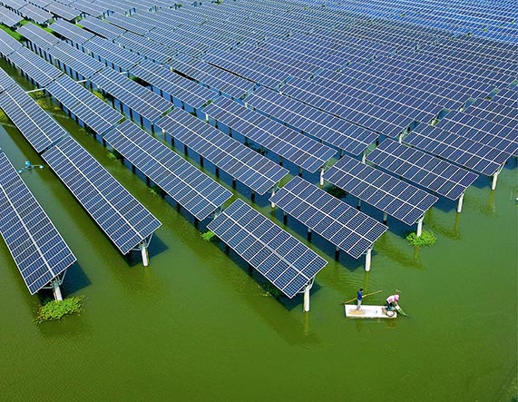 Farmers catch crayfish in a pond under rows of solar panels in Yangzhou, Jiangsu Province, on August 14, 2019. The photovoltaic field is a project of China’s fishery-solar hybrid system. (MENG DELONG)